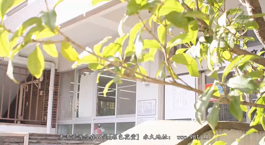 学校泳装狂热精液用3张原始照片标记桃乃木